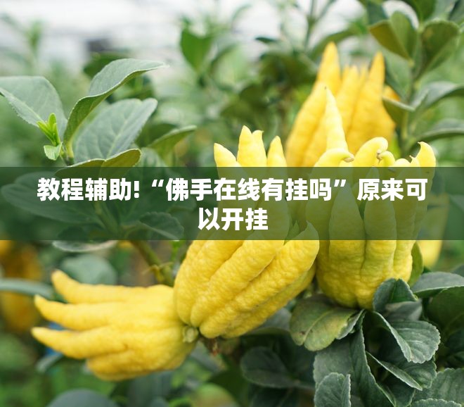 教程辅助!“佛手在线有挂吗”原来可以开挂