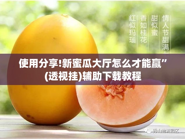 使用分享!新蜜瓜大厅怎么才能赢”(透视挂)辅助下载教程