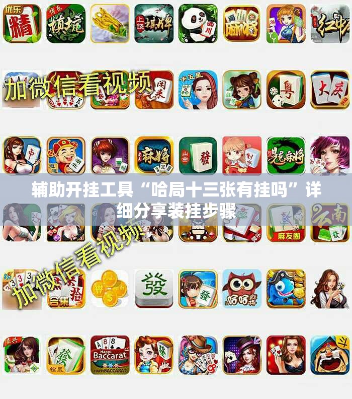 辅助开挂工具“哈局十三张有挂吗”详细分享装挂步骤