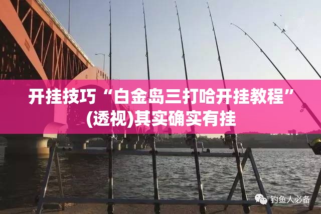 开挂技巧“白金岛三打哈开挂教程	”(透视)其实确实有挂