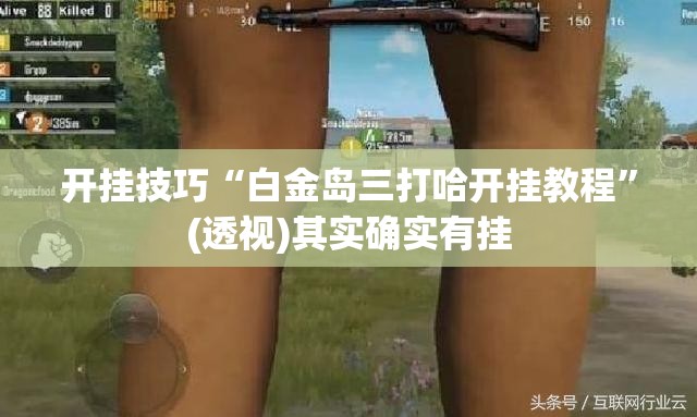 开挂技巧“白金岛三打哈开挂教程”(透视)其实确实有挂