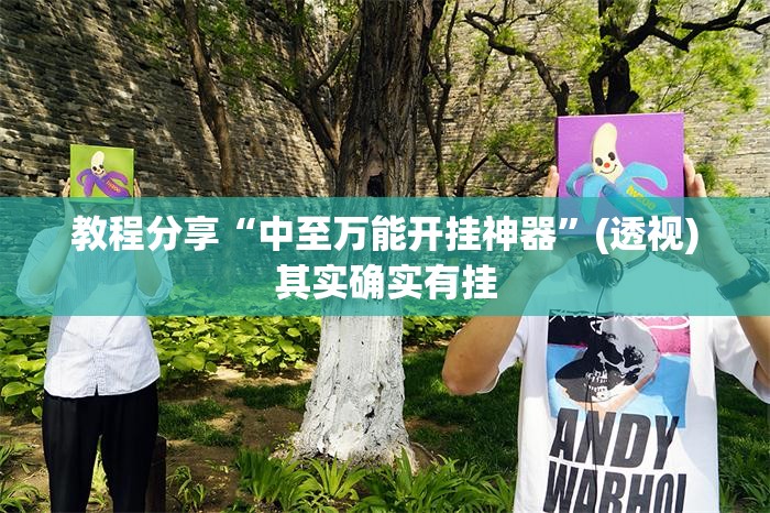 教程分享“中至万能开挂神器”(透视)其实确实有挂