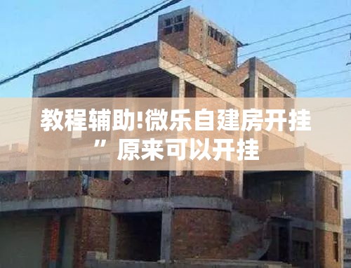 教程辅助!微乐自建房开挂”原来可以开挂