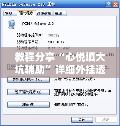 教程分享“心悦填大坑辅助”详细外挂透视辅助软件教程
