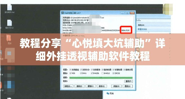 教程分享“心悦填大坑辅助	”详细外挂透视辅助软件教程