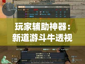 玩家辅助神器：新道游斗牛透视现场安装(透视)”开挂辅助脚本+详细开挂安装教程