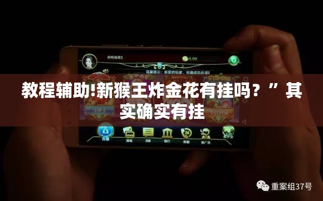 教程辅助!新猴王炸金花有挂吗？”其实确实有挂