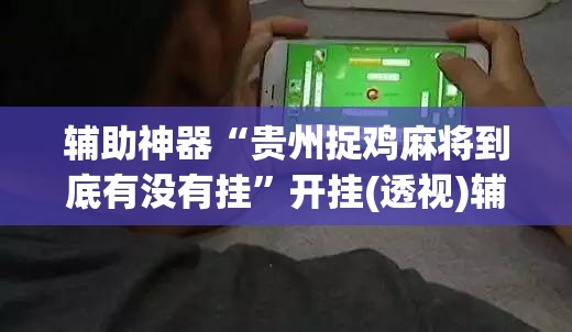 辅助神器“贵州捉鸡麻将到底有没有挂”开挂(透视)辅助神器