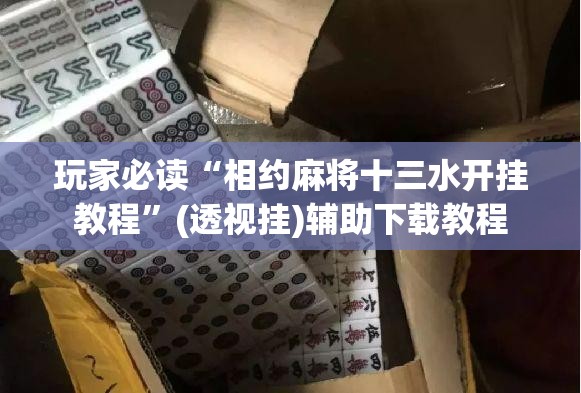 玩家必读“相约麻将十三水开挂教程”(透视挂)辅助下载教程