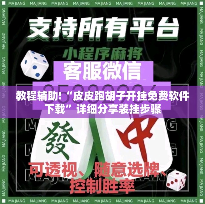 教程辅助!“皮皮跑胡子开挂免费软件下载”详细分享装挂步骤