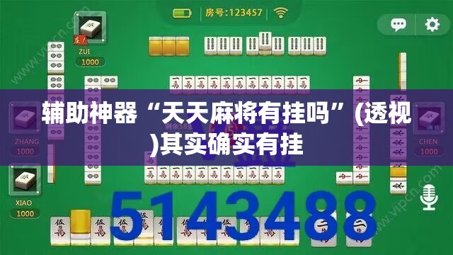 辅助神器“天天麻将有挂吗”(透视)其实确实有挂