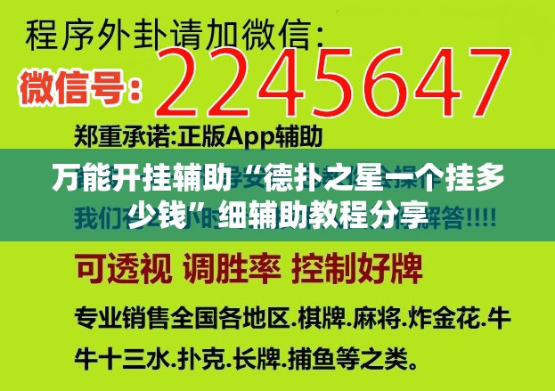 万能开挂辅助“德扑之星一个挂多少钱”细辅助教程分享