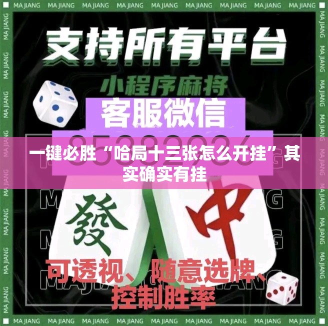 一键必胜“哈局十三张怎么开挂”其实确实有挂