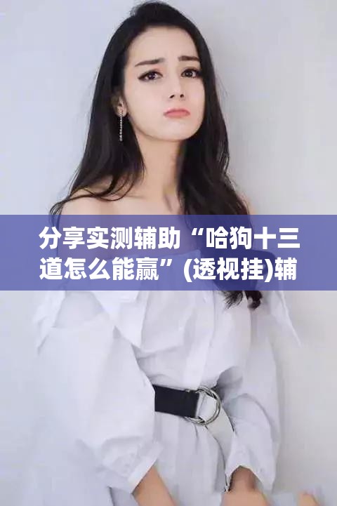 分享实测辅助“哈狗十三道怎么能赢”(透视挂)辅助下载教程