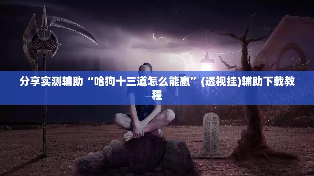 分享实测辅助“哈狗十三道怎么能赢”(透视挂)辅助下载教程
