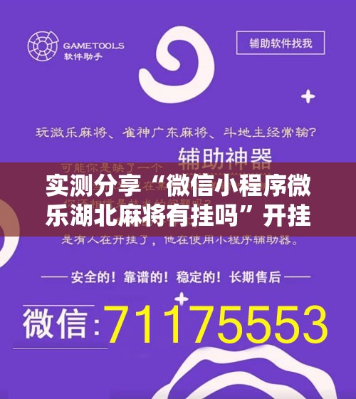 实测分享“微信小程序微乐湖北麻将有挂吗”开挂辅助脚本+详细开挂安装教程