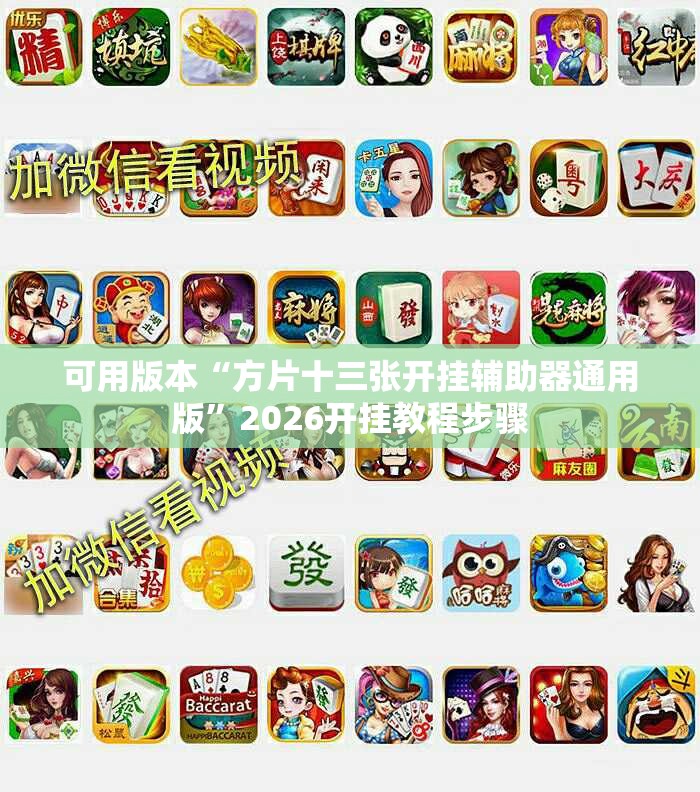 可用版本“方片十三张开挂辅助器通用版”2026开挂教程步骤