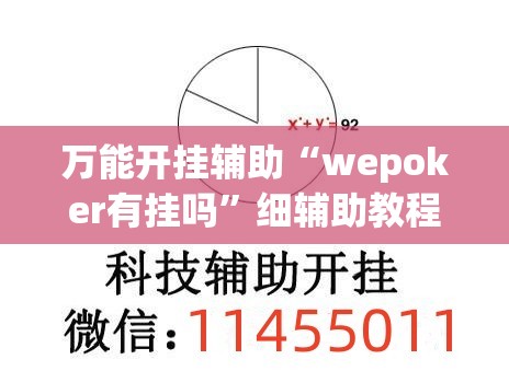 万能开挂辅助“wepoker有挂吗”细辅助教程分享