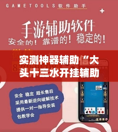实测神器辅助“大头十三水开挂辅助器通用版”(免费)开挂辅助教学(最新辅助开挂教程)