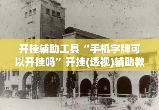 开挂辅助工具“手机字牌可以开挂吗”开挂(透视)辅助教程