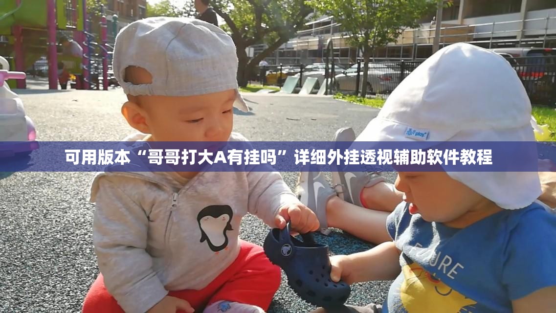 可用版本“哥哥打大A有挂吗”详细外挂透视辅助软件教程