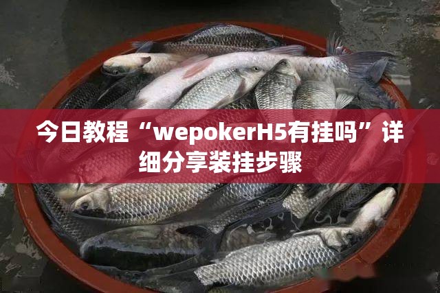 今日教程“wepokerH5有挂吗”详细分享装挂步骤