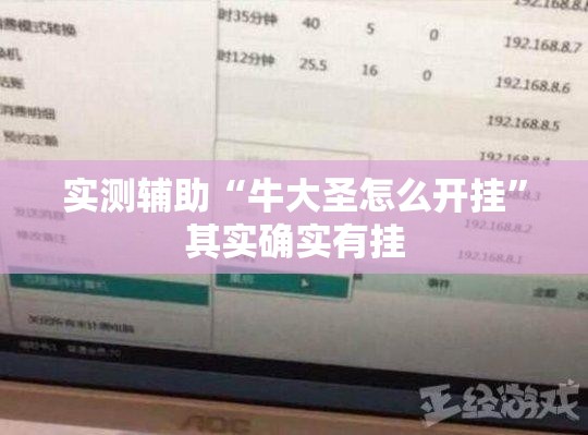 实测辅助“牛大圣怎么开挂”其实确实有挂
