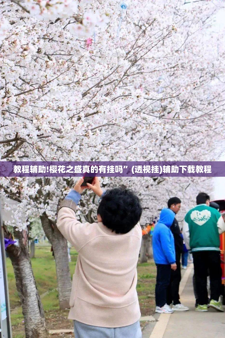 教程辅助!樱花之盛真的有挂吗”(透视挂)辅助下载教程