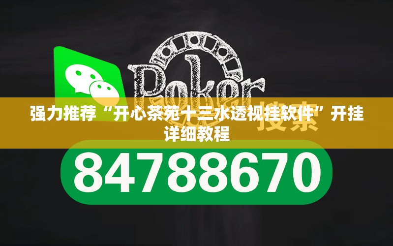 强力推荐“开心茶苑十三水透视挂软件	”开挂详细教程