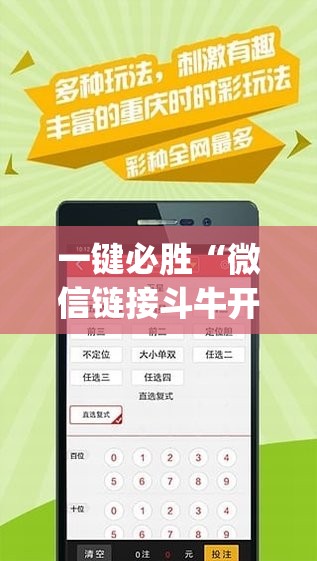 一键必胜“微信链接斗牛开挂辅助器通用版(透视)”开挂辅助脚本+详细开挂安装教程