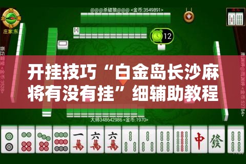 开挂技巧“白金岛长沙麻将有没有挂”细辅助教程分享