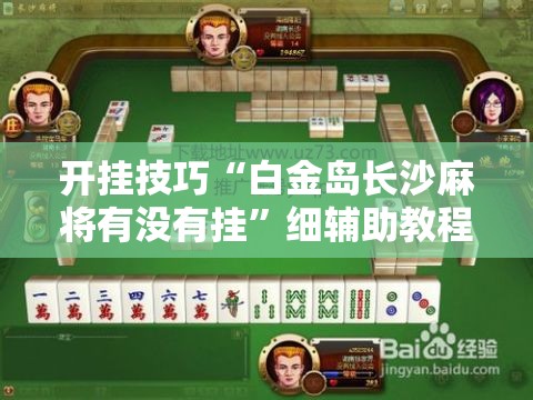 开挂技巧“白金岛长沙麻将有没有挂”细辅助教程分享