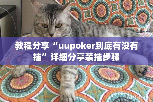 教程分享“uupoker到底有没有挂”详细分享装挂步骤