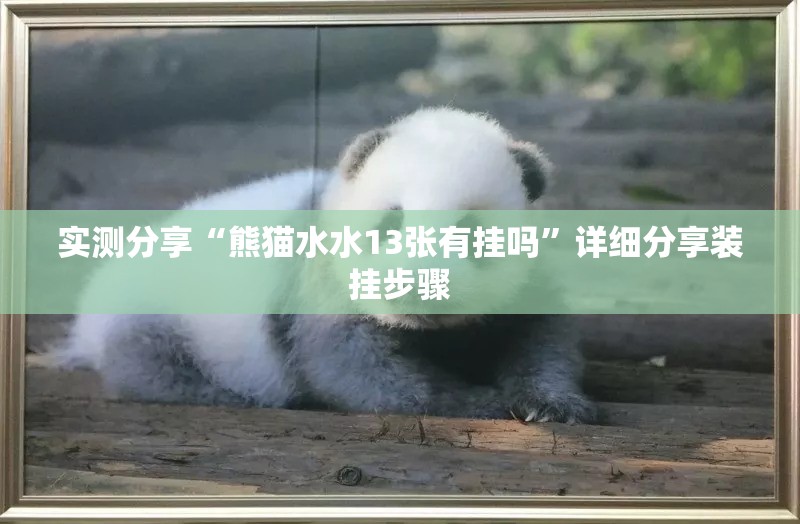 实测分享“熊猫水水13张有挂吗”详细分享装挂步骤