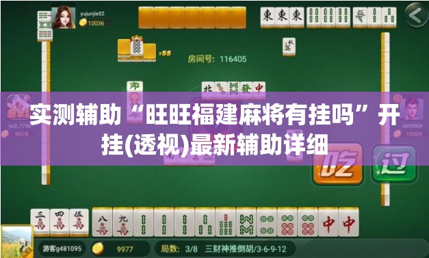 实测辅助“旺旺福建麻将有挂吗”开挂(透视)最新辅助详细