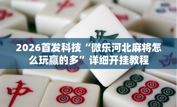 2026首发科技“微乐河北麻将怎么玩赢的多”详细开挂教程