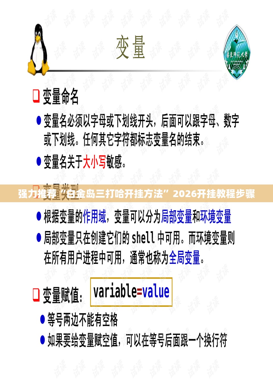 强力推荐“白金岛三打哈开挂方法”2026开挂教程步骤