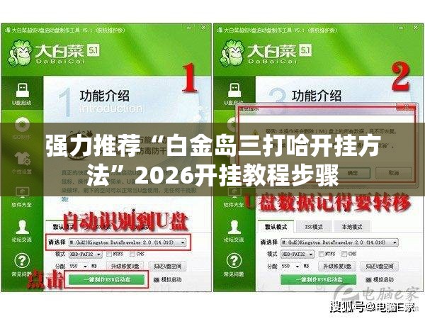 强力推荐“白金岛三打哈开挂方法”2026开挂教程步骤
