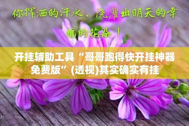 开挂辅助工具“哥哥跑得快开挂神器免费版”(透视)其实确实有挂