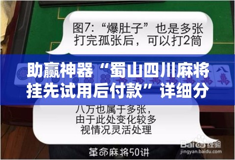 助赢神器“蜀山四川麻将挂先试用后付款	”详细分享装挂步骤