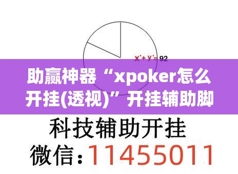 助赢神器“xpoker怎么开挂(透视)”开挂辅助脚本+详细开挂安装教程