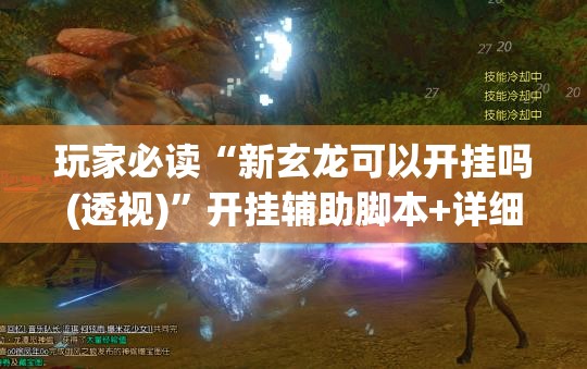 玩家必读“新玄龙可以开挂吗(透视)”开挂辅助脚本+详细开挂安装教程