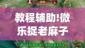 教程辅助!微乐捉老麻子怎么开挂”开挂(透视)辅助神器