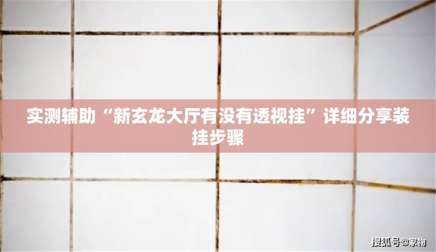 实测辅助“新玄龙大厅有没有透视挂”详细分享装挂步骤