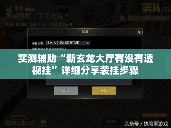 实测辅助“新玄龙大厅有没有透视挂”详细分享装挂步骤