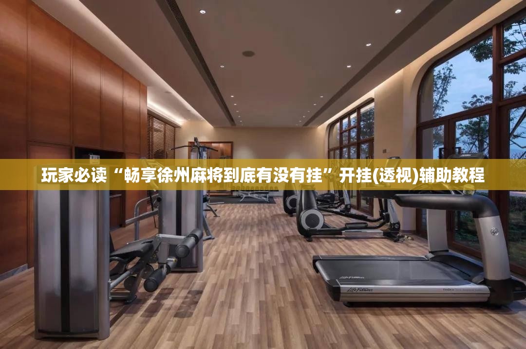 玩家必读“畅享徐州麻将到底有没有挂”开挂(透视)辅助教程