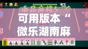 可用版本“微乐湖南麻将三打哈有挂吗”开挂详细教程