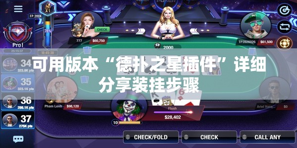 可用版本“德扑之星插件”详细分享装挂步骤