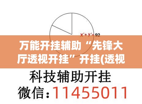 万能开挂辅助“先锋大厅透视开挂”开挂(透视)辅助教程