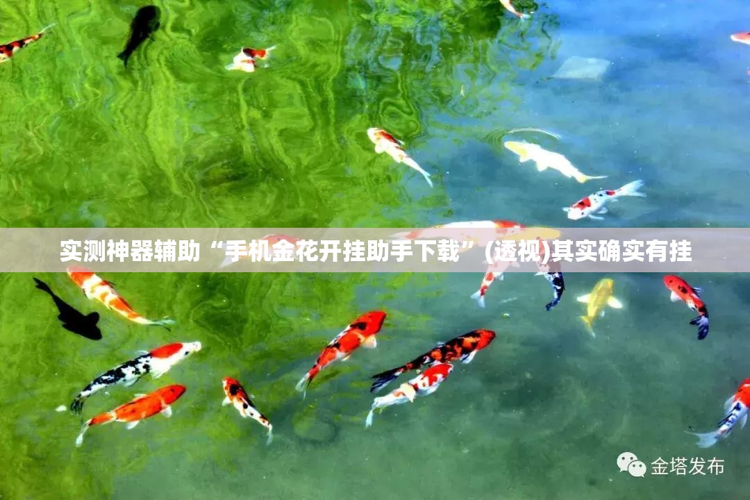 实测神器辅助“手机金花开挂助手下载	”(透视)其实确实有挂